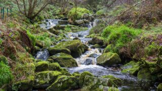 Nearly €21m allocated to cross-border water quality projects