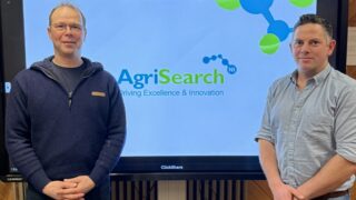 AgriSearch appoints new chair and vice chair for sheep committee