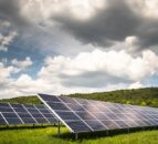 FFA calls for halt on solar farms on arable land
