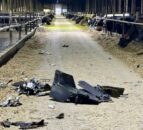 Chef secures generators for Ukraine dairy farms on front line