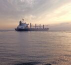 UK food exports to EU down 34.6% since Brexit – FDF
