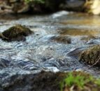 NFU Cymru 'frustrated' with pollution regulations review