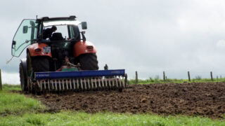 Identifying paddocks for early spring reseed & clover incorporation