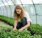 Stormont comes together to support women in agriculture