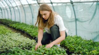 Stormont comes together to support women in agriculture