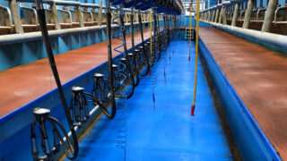 Don’t overlook post-milking teat disinfection this spring