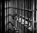 Farmer pleads guilty at Tyrone court in relation to animal welfare offences