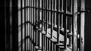 Farmer pleads guilty at Tyrone court in relation to animal welfare offences
