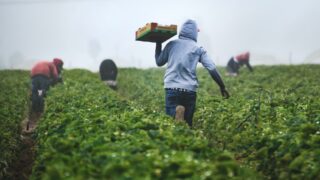 What you need to know about the NI pay increase for agri workers