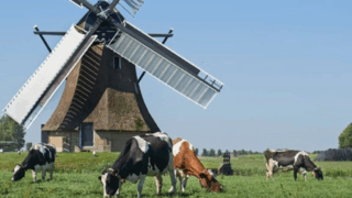 $27.4m genetics initiative will breed low-methane emitting cattle