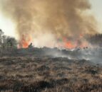 ‘Designated sites are quite literally adding fuel to the fire’ – UFU