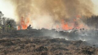‘Designated sites are quite literally adding fuel to the fire’ – UFU