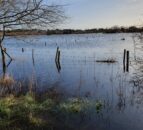 Storms and flooding impacted 413,000 people in Europe in 2024