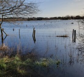 Somerset farms to benefit from £50m package flood protection