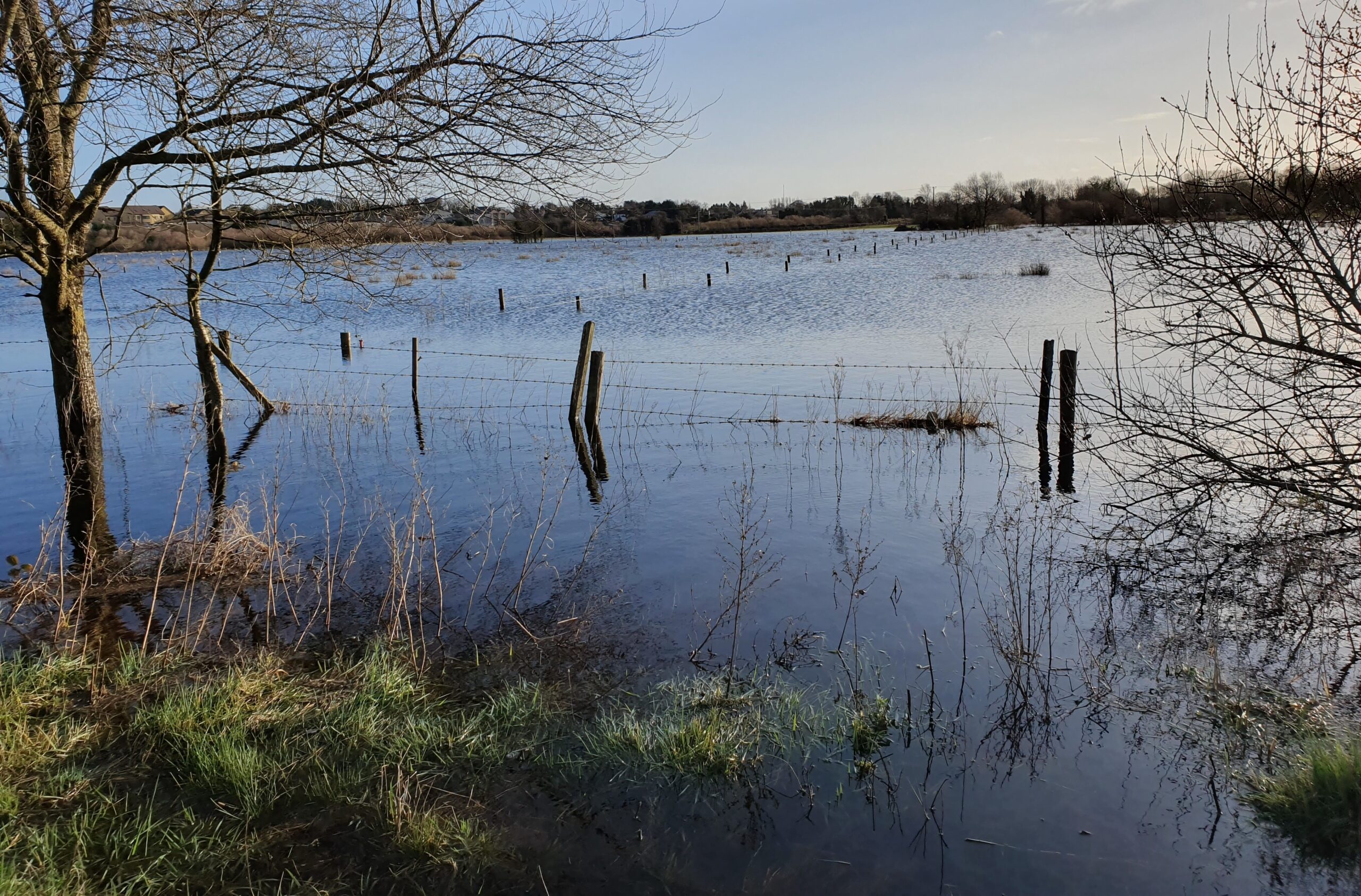 agriland.co.uk - Conor Galligan - Somerset farms to benefit from &pound;50m package flood protection