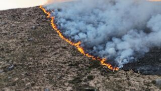 Watch: Over 50 firefighters battling Mourne Mountains blaze
