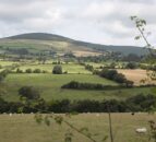 NI ‘Rural Needs Annual Monitoring Report’ published