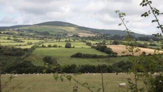 NI ‘Rural Needs Annual Monitoring Report’ published