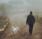 RSPCA issues advice to dog owners for sheep worrying week