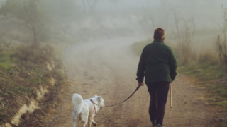 RSPCA issues advice to dog owners for sheep worrying week