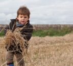 NI family farms could face ‘significant tax liabilities’ – accountants