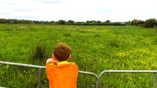 Warmer temperatures and erratic rainfall ‘taking a toll’ on NI farmers – research 