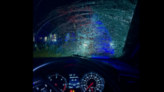 Black cow on unlit road led to ‘written off car’ – PSNI