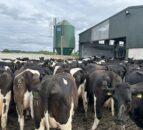 Diet impacting fertility and blood testing for mineral deficiencies
