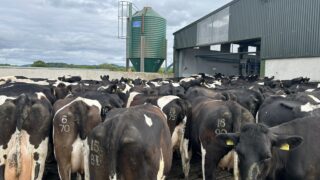 Diet impacting fertility and blood testing for mineral deficiencies