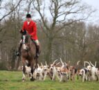 Poll shows fox hunting low on voters’ agenda – Countryside Alliance