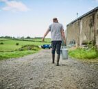 NI entitlement transfer service to open tomorrow