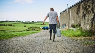 NI entitlement transfer service to open tomorrow