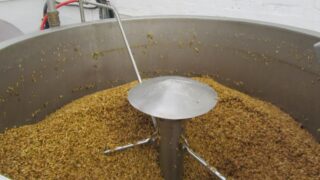 Opinion: Potential of malting barley must be maximised