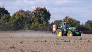 Less pesticides won’t make food production more sustainable – expert
