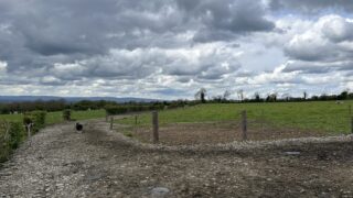 Roadways and surfaces need to be maintained ahead of breeding