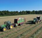 How to achieve a 75-80% DMD silage for your winter milking herd