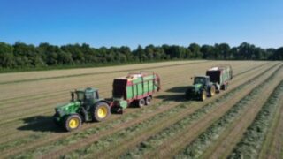 How to achieve a 75-80% DMD silage for your winter milking herd