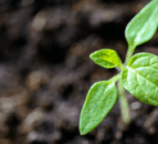 Origin Enterprises acquires UK online gardening supplier