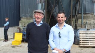 Co. Down dairy farmer credits grassland reseeding for farm performance