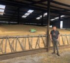 Watch: Farmer Phil’s calves jump for joy with space hoppers