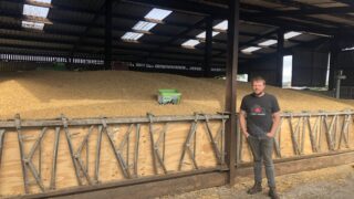 Watch: Farmer Phil’s calves jump for joy with space hoppers