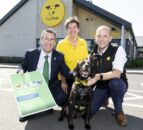 NI minister proposes ‘radical’ plan on animal welfare