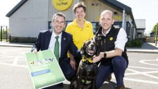 NI minister proposes ‘radical’ plan on animal welfare