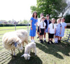 Thousands of school pupils engage in ‘Loan a Lamb’ initiative