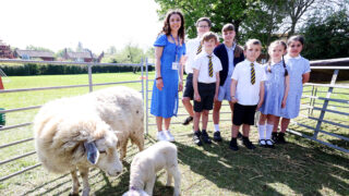 Thousands of school pupils engage in ‘Loan a Lamb’ initiative
