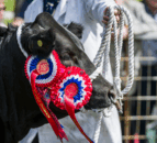 Countdown is on to major Scottish agricultural event