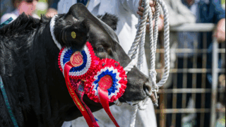 Countdown is on to major Scottish agricultural event