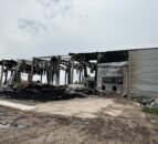 Video: Ukrainian Agri Council – cattle killed and farms destroyed
