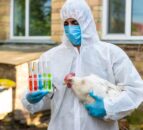 WOAH report: Infectious animal diseases affecting new areas and species