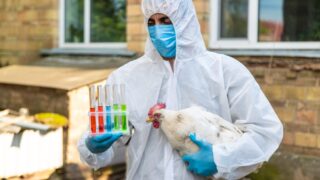 WOAH report: Infectious animal diseases affecting new areas and species